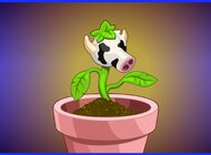 The Sims zapowiada program wytwórców i rynek The Sims 4