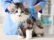 20 marca obchodzimy Światowy Dzień Wiedzy o Pasożytach 