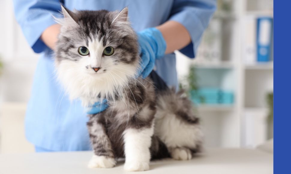 20 marca obchodzimy Światowy Dzień Wiedzy o Pasożytach 