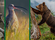 "Mój jest ten kawałek przyrody" - plebiscyt w ramach Godziny dla Ziemi WWF 2026 