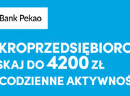 Bank Pekao S.A. zapłaci mikroprzedsiębiorcom nawet 4 200 zł