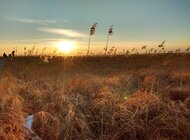 Drugi rok partnerstwa WWF Polska i Lidl Polska na rzecz ochrony przyrody  