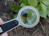 Idź z młodzieżą w przyrodę! WWF Polska otwiera nabór do programu „Bliżej przyrody”