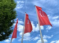 Grupa Amica szacuje wyniki 2025 roku