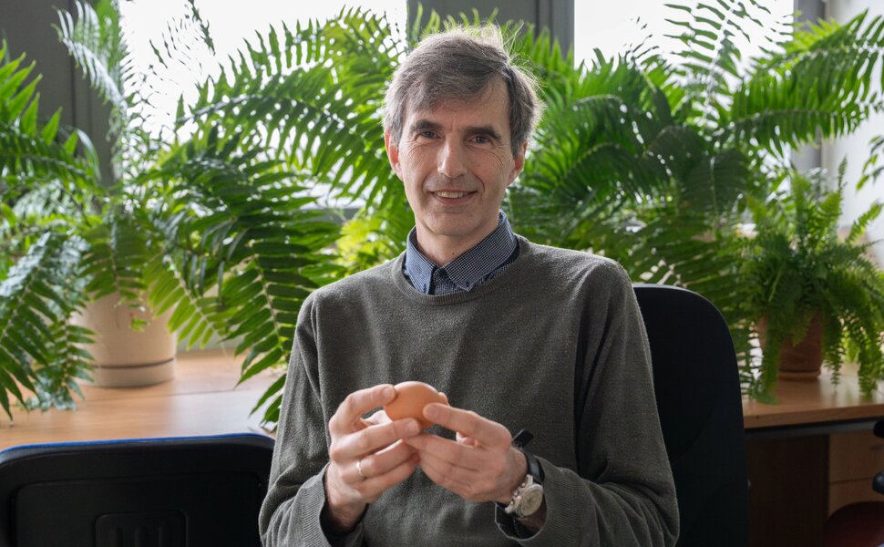 Naturalne pisanki, czyli o różnorodności form jaj w świecie ptaków 