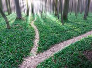 Gra o lesie. Naukowcy z SGGW pokażą, jak różne decyzje wpływają na ekosystem