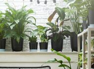 Zielono i smacznie w IKEA.  Wiosenne atrakcje w Porcie Łódź