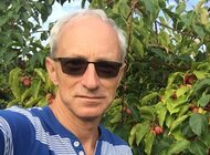 Minikiwi w polskich sklepach. To przykład sukcesu badawczo-wdrożeniowego naukowców z SGGW.