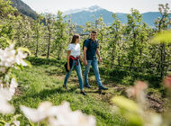 Majówka po włosku – 3 sposoby na zwiedzanie Południowego Tyrolu z Roter Hahn