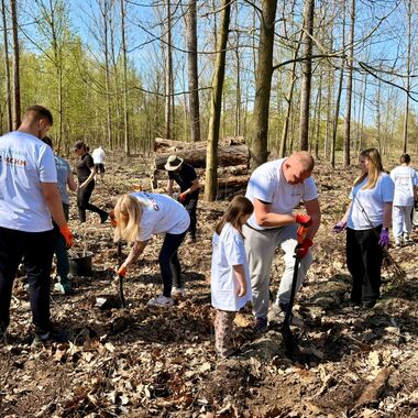 Wolontariusze KGHM zasadzili drzewa przy Hucie Miedzi Głogów (3)