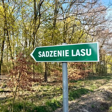 Wolontariusze KGHM zasadzili drzewa przy Hucie Miedzi Głogów (4)