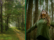 Tysiące Polaków wybrało swój „kawałek przyrody”. Czy będzie Rekord Polski dla WWF?