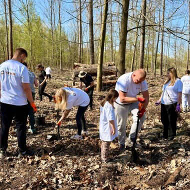 Wolontariusze KGHM zasadzili drzewa przy Hucie Miedzi Głogów (3)