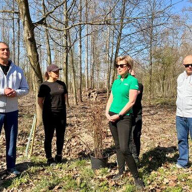 Wolontariusze KGHM zasadzili drzewa przy Hucie Miedzi Głogów (10)