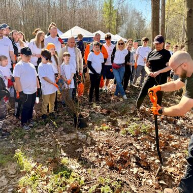 Wolontariusze KGHM zasadzili drzewa przy Hucie Miedzi Głogów (2)