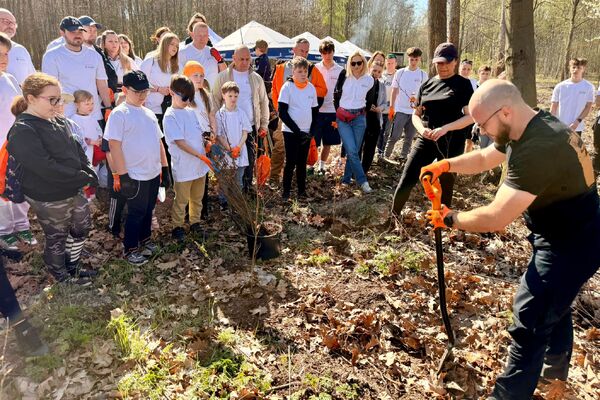 Wolontariusze KGHM zasadzili drzewa przy Hucie Miedzi Głogów (2)