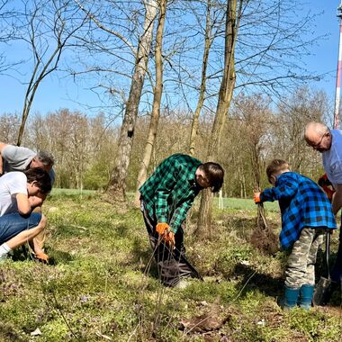 Wolontariusze KGHM zasadzili drzewa przy Hucie Miedzi Głogów (9)