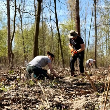 Wolontariusze KGHM zasadzili drzewa przy Hucie Miedzi Głogów (5)