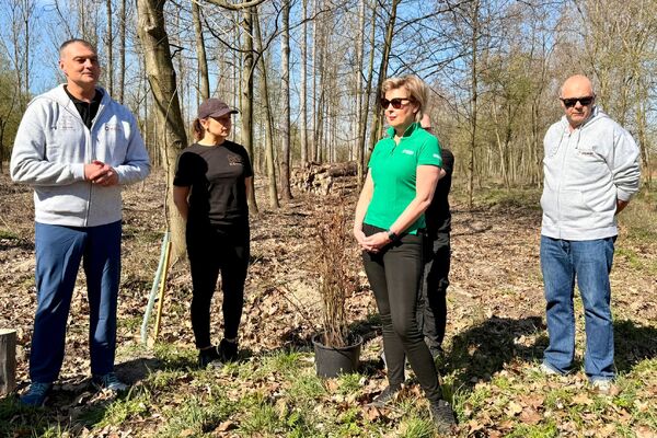 Wolontariusze KGHM zasadzili drzewa przy Hucie Miedzi Głogów (10)