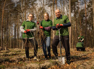 Rekordowe 141 tys. sadzonek