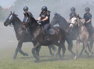 Końska siła na służbie. Pokaz wyszkolenia koni policyjnych podczas Dni SGGW 