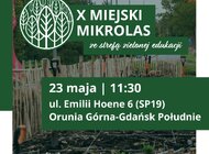 Gdańsk posadzi dziesiąty miejski mikrolas. Tym razem ze strefą zielonej edukacji.