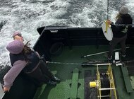 WWF Polska i Novotel łączą siły na rzecz ochrony Bałtyku i ograniczania problemu narzędzi połowowych stanowiących odpady 