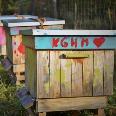 KGHM rozbudowuje swoje pasieki – trzy nowe ule stanęły przy Hucie Miedzi Głogów