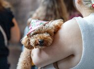 Piknik Zwierzaków w Fuzji. Adopcje, psie spa i atrakcje dla całych rodzin w sercu Łodzi.
