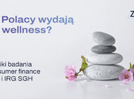 Wellness po polsku nie oznacza kosztownych usług premium