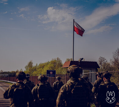 DWOT-5