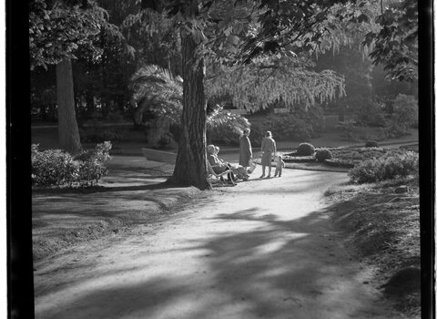 Park Oliwski, Marian Murman, lata 60  XX wieku, mat  Muzeum Gdańska (2)