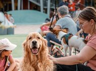 Lato pełne atrakcji w Porcie Łódź. Pippi wraca, kino gra pod gwiazdami, a Patio rozbrzmiewa jazzem