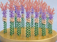 Biosensor wykrywający endotoksynę LPS - kolejny patent dla naukowców z Wydziału Chemii UG