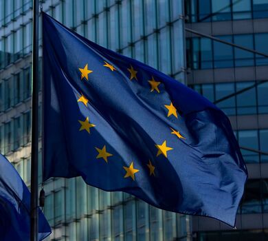 IP Europejskie Centrum Surowców Krytycznych ma dwa poważne wyzwania na starcie [KOMENTARZ]