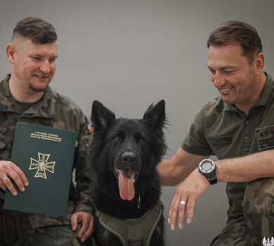 05 08 2026 r  Zakontraktowanie psa Abigejl-18