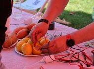 Święto energetyków na Jarmarku św. Dominika
