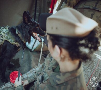 ARES (11)