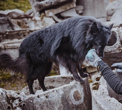 ARES (10)