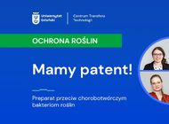 Sposób na groźne bakterie roślin. Naukowcy UG i PWr wykorzystali zimną plazmę