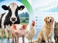 POLPROVET i CEESA: wspólnie budujemy wiarygodny obraz polskiego rynku animal health