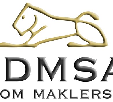 Logo IDMSA - organizatora emisji