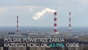 Nie idź w dym w paleniu byle czym