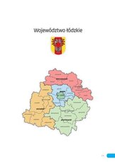Raport_2017_łódzkie.pdf