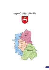 Raport_2016_lubelskie.pdf