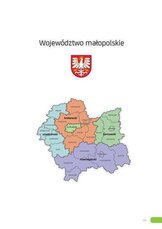 Raport_2017_małopolskie.pdf