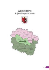 Raport_2017_kujawsko_pomorskie.pdf