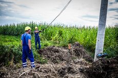 Pionowanie słupów energetycznych Enei w okolicach Czerniejewa (woj. wielkopolskie) (2).jpg