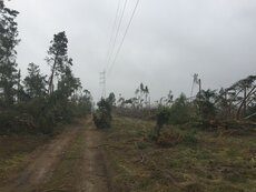 Odbudowana linia wysokiego napięcia relacji Chojnice Kościerska – Brusy.jpg