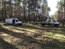 Energetycy Enei Operator przywracają zasilanie po orkanie w okolicach wsi Toporów w woj. lubuskim (2).JPG
